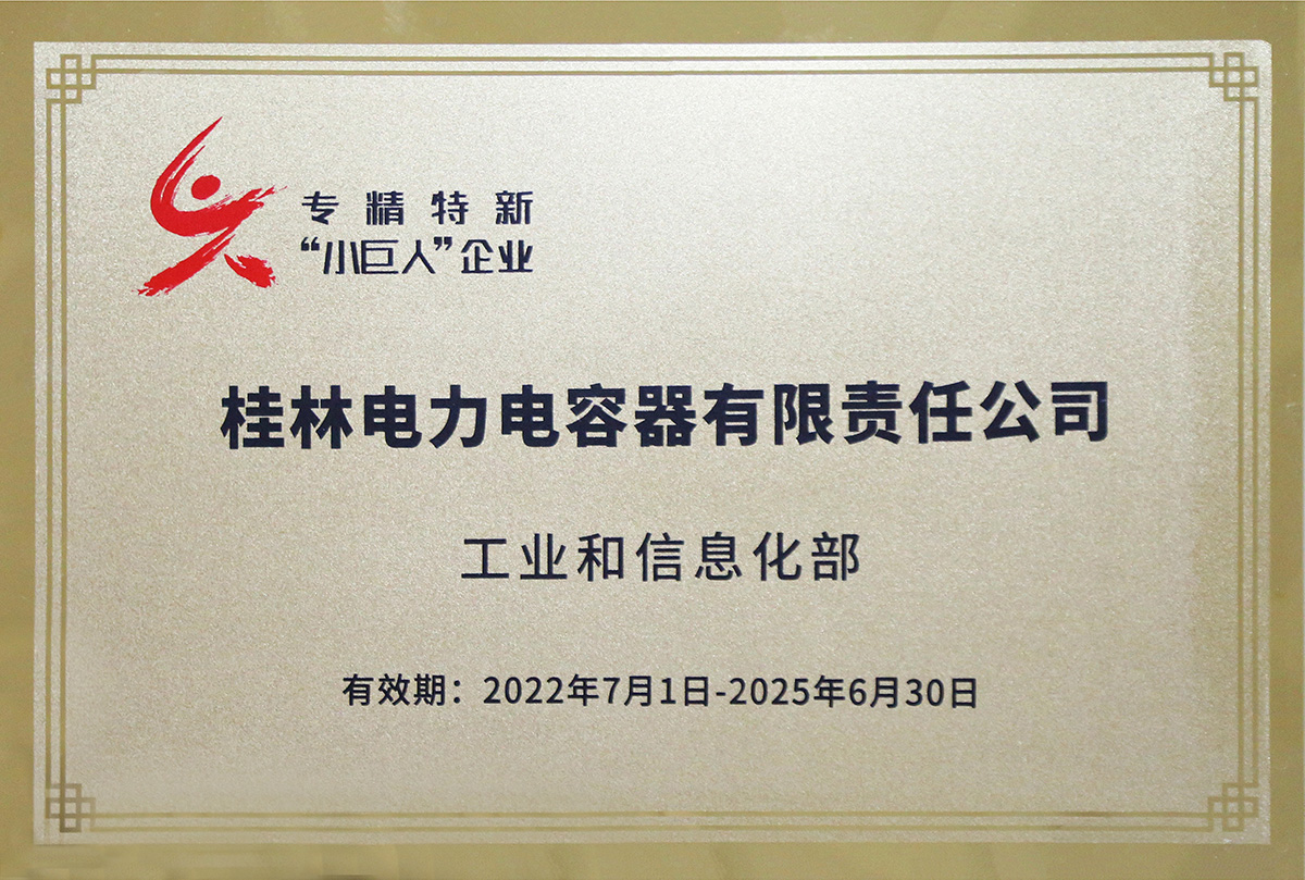 国家级专精特新“小巨人”企业.jpg